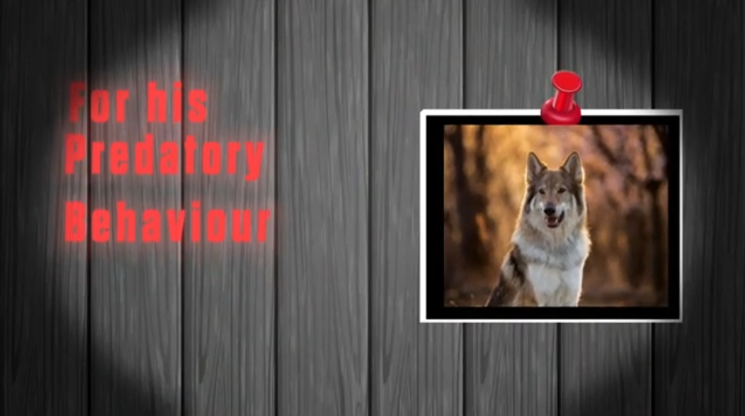 Documentary story telling Video edit
